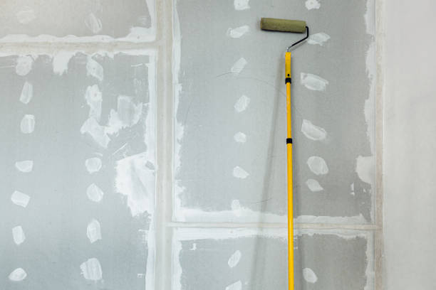 Best Biohazard Mold Removal  in New Athens, IL
