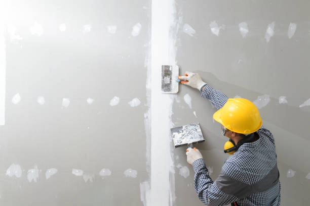 Best Airborne Mold Testing  in New Athens, IL