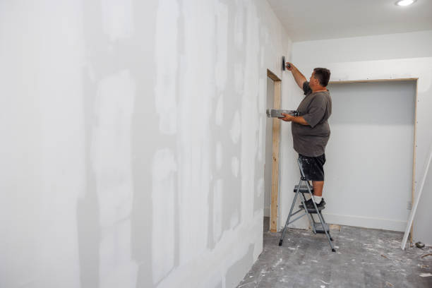 Professional Mold Removal in New Athens, IL