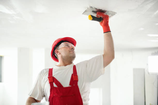 Best Attic Mold Removal  in New Athens, IL