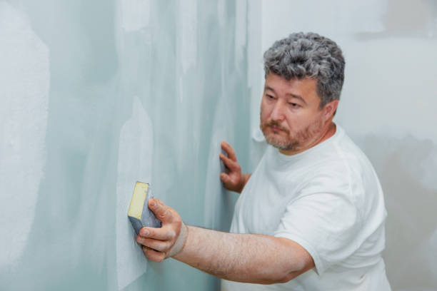 Biohazard Mold Removal in New Athens, IL