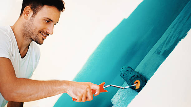 Best Real Estate Mold Inspection  in New Athens, IL