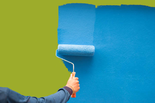Best Mold Documentation for Insurance Claims  in New Athens, IL